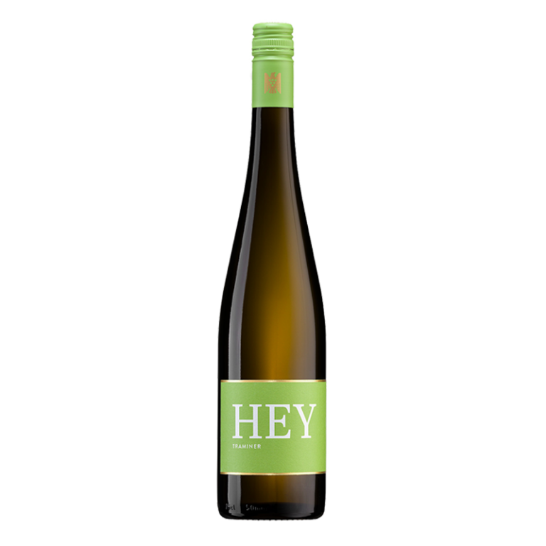 2025-traminer-web