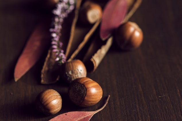 Feine Herbstküche